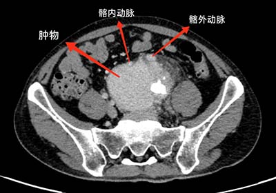 图片25.jpg