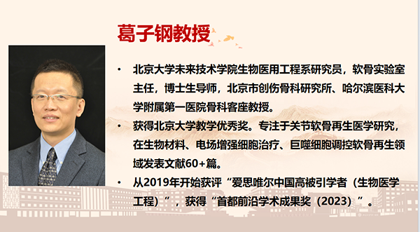 图片33.png