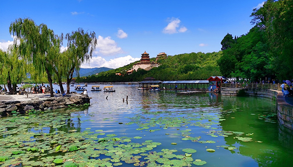 图片 49.jpg