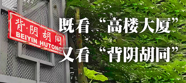 15 背阴故同  封面图.jpg