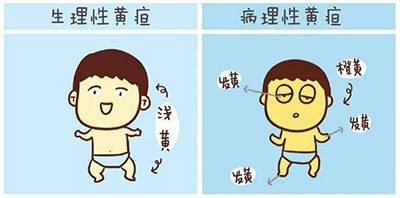 图片13.jpg