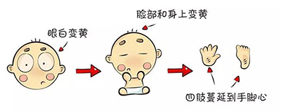 图片14.jpg
