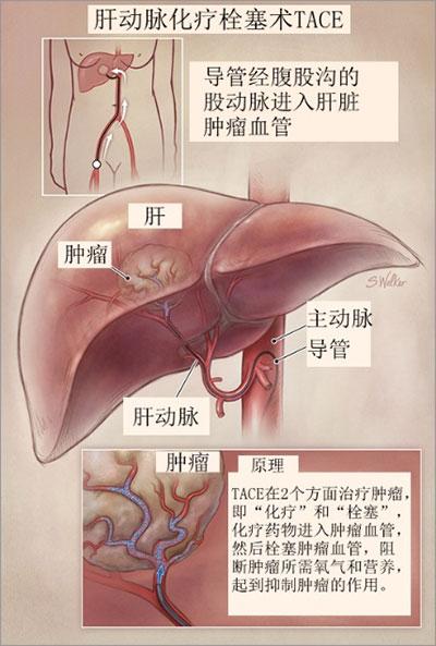 图片57.jpg