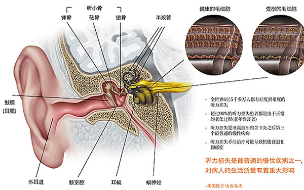 图片14.jpg