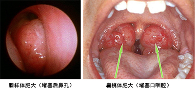 未标题-1.jpg