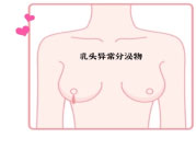 2021年8期正文-154.jpg