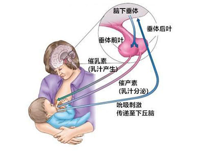 2021年15期正文-130.jpg