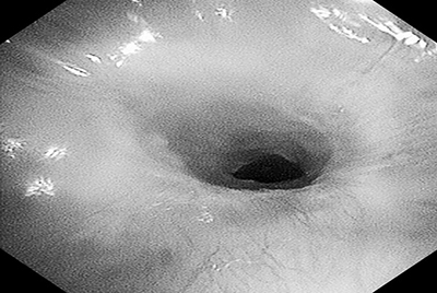 第6页-10.jpg