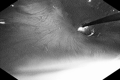 第6页-9.jpg