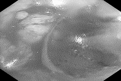 第6页-8.jpg