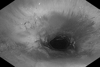 第6页-7.jpg
