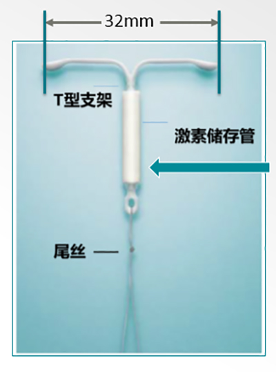 第16页-50.jpg