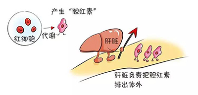 第20页-82.jpg