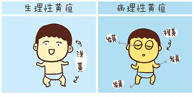 第20页-81.jpg