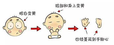 第21页-88.jpg