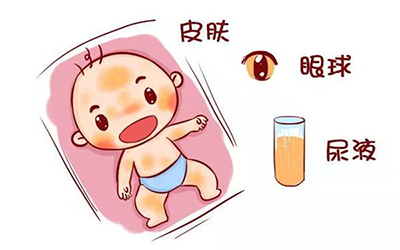 第21页-86.jpg