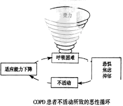 第23页-78.jpg