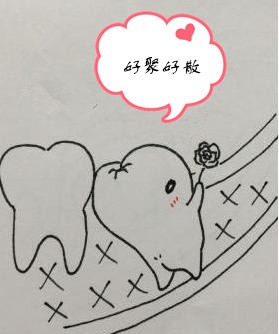 牙槽神经2.jpg