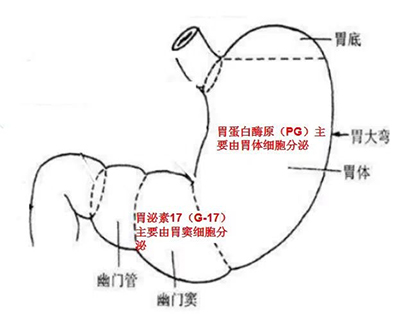 检测图.jpg