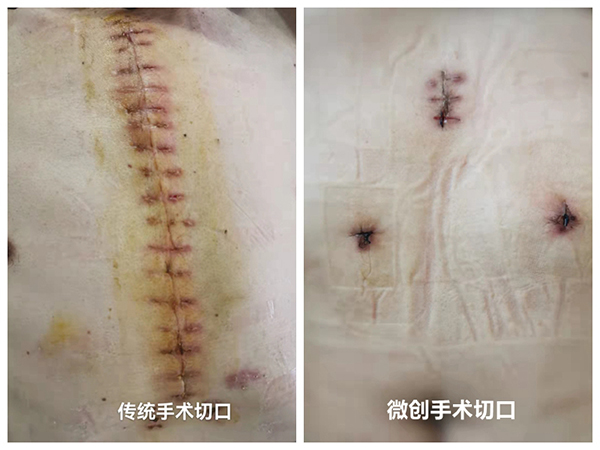 NeoImage_副本_副本_副本.jpg