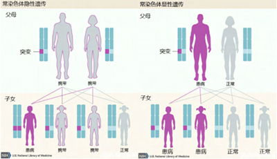 未标题-16.jpg