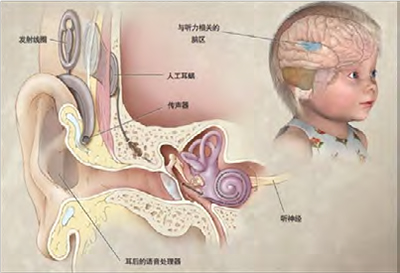 第18页-36.jpg
