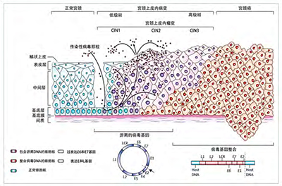 第24页-54.jpg