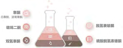 第25页-56.jpg