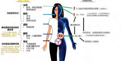 第26页-62.jpg