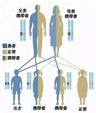 第26页-61.jpg