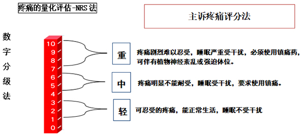 未标题-1.jpg