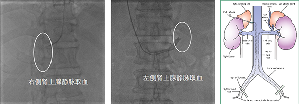 未标题-2.png