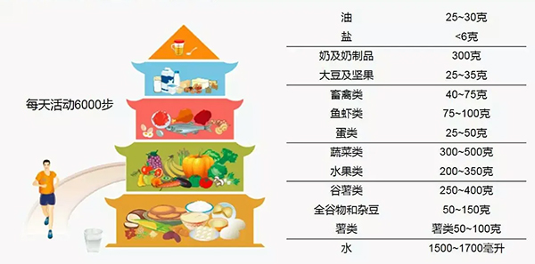 5 中国居民膳食宝塔.jpg