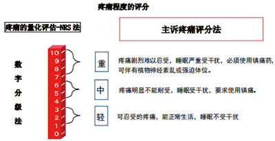 未标题-10.jpg