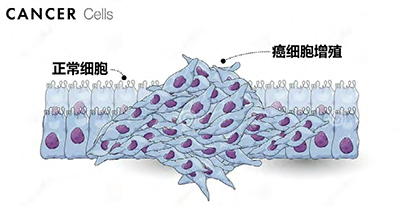 第24页-111.jpg