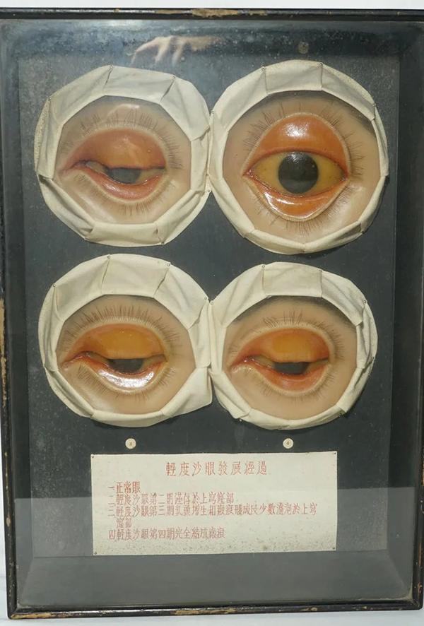 图片9.jpg