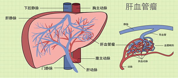 图片15.jpg