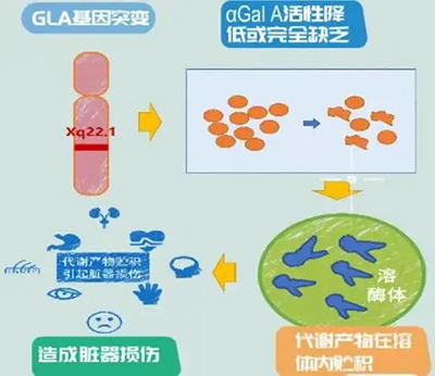 图片20.jpg