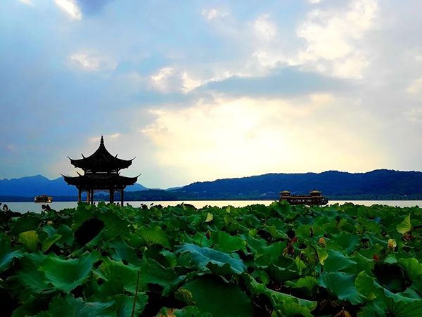 图片10.jpg