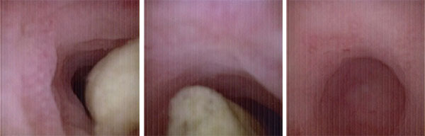 未标题-1.jpg