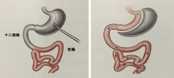 未标题-1.jpg