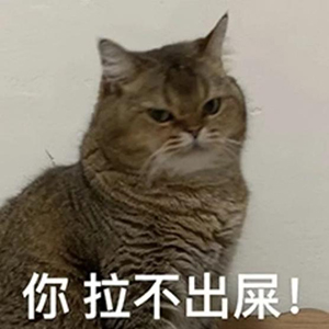 图片8.jpg