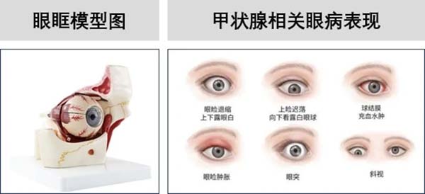 图片31.jpg