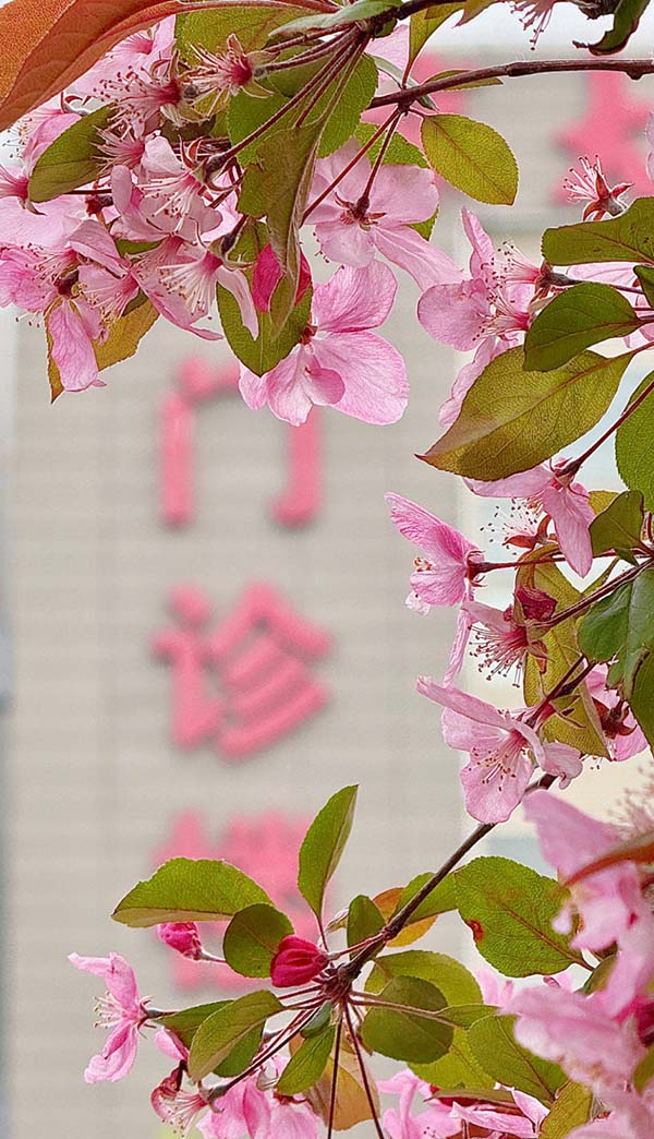 图片26.jpg