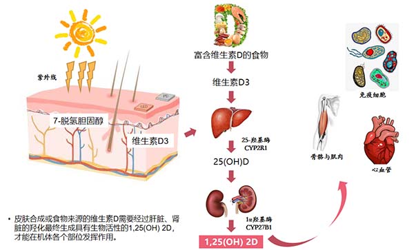 图片12.jpg