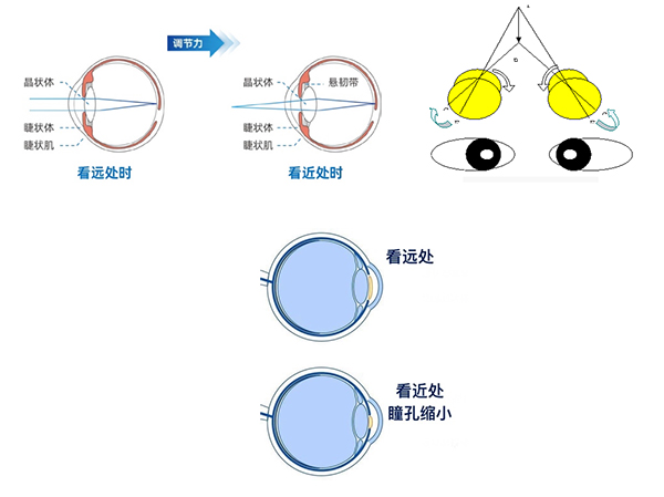 未标题-1.jpg