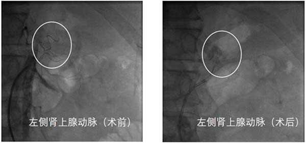图片15.jpg 图片15.jpg