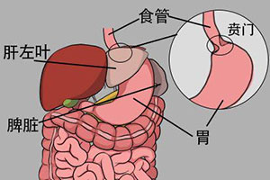 图片8.jpg 图片8.jpg