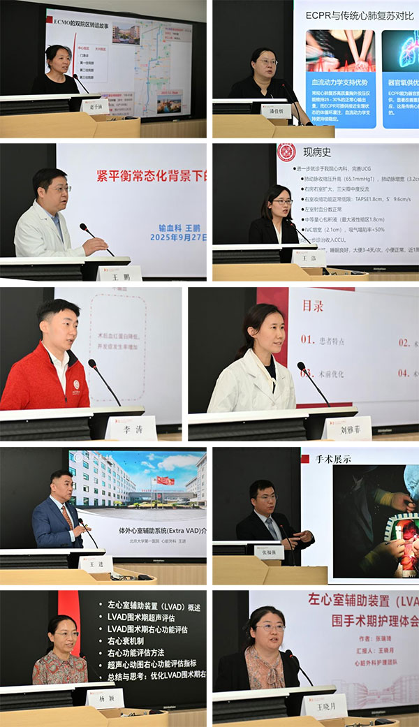 拼图-13.jpg 拼图-13.jpg