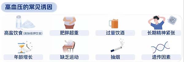 图片16.jpg 图片16.jpg